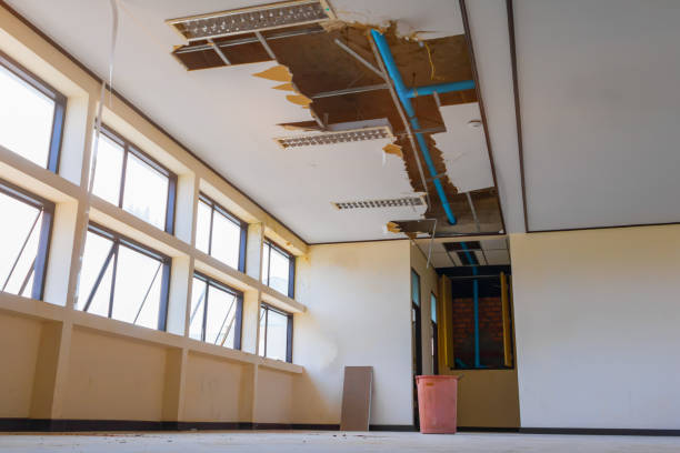 Best Local water damage restoration  in Pacific, MO