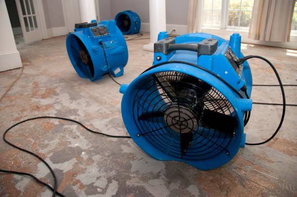 Best Flooded house restoration  in Pacific, MO