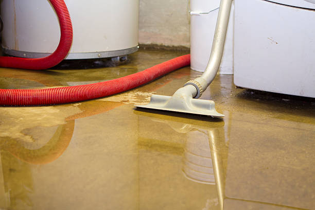 Best Flood restoration services  in Pacific, MO