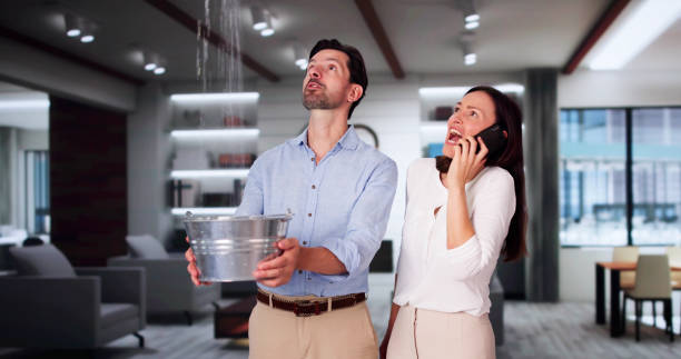 Best Basement water damage restoration  in Pacific, MO