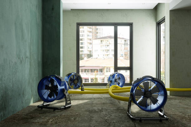 Best Water damage contractors near me  in Pacific, MO